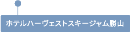 ホテルハーヴェストスキージャム勝山